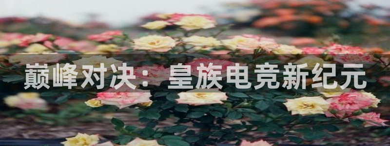 UWIN电竞·(中国)集团：巅峰对决：皇族电竞新纪元