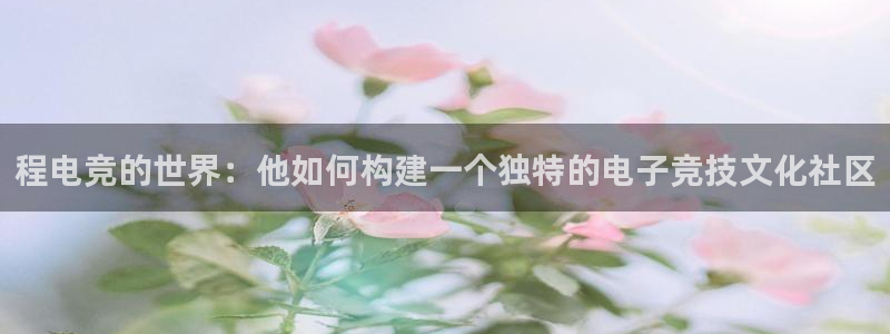Uwin电竞注册：程电竞的世界：他如何构建一个独特的电子竞技文化社区