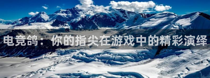 Uwin电竞注册：电竞鸽：你的指尖在游戏中的精彩演绎