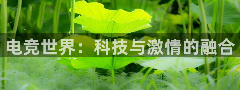 uwin电竞官网：电竞世界：科技与激情的融合
